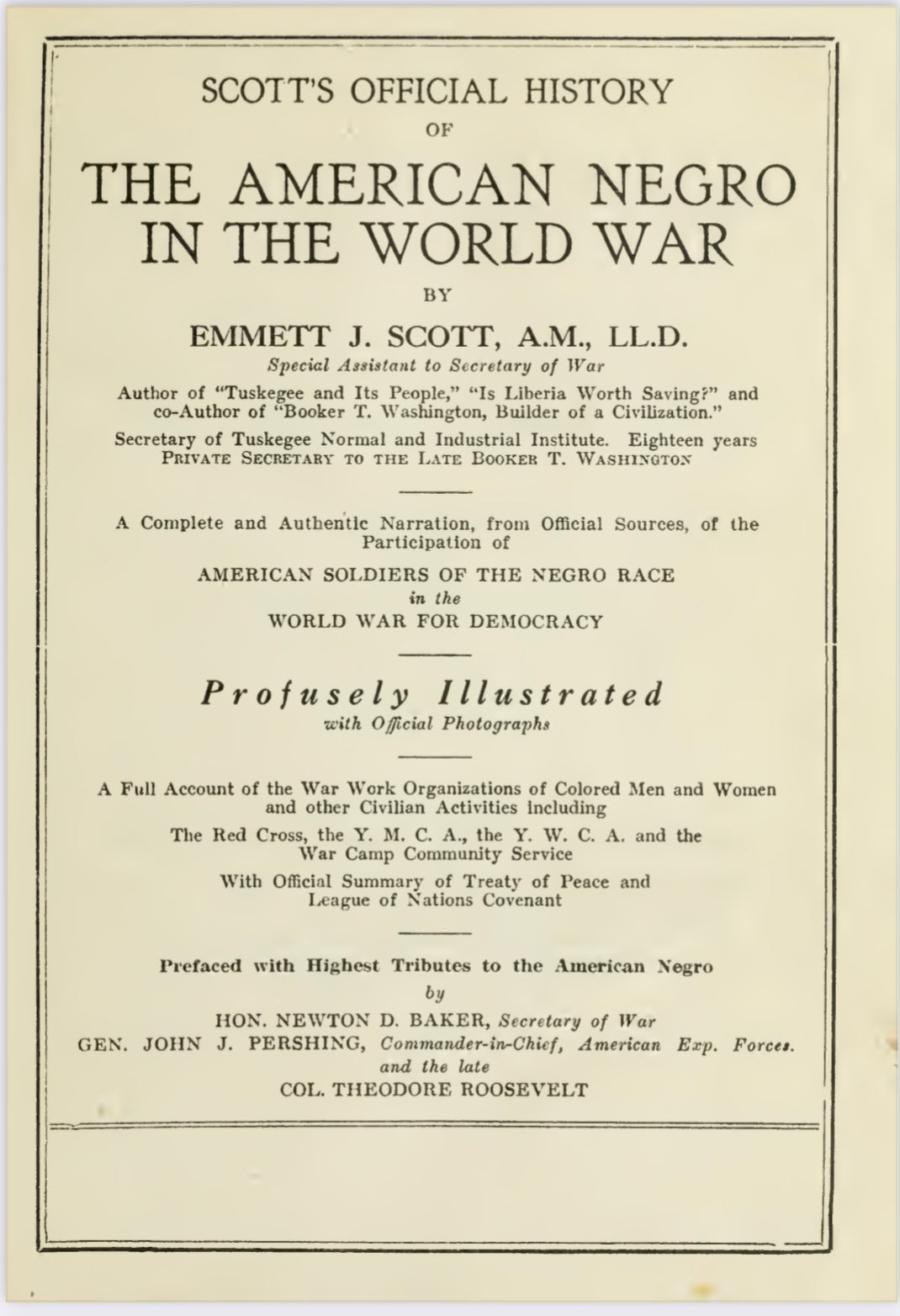 American Negro in the world war