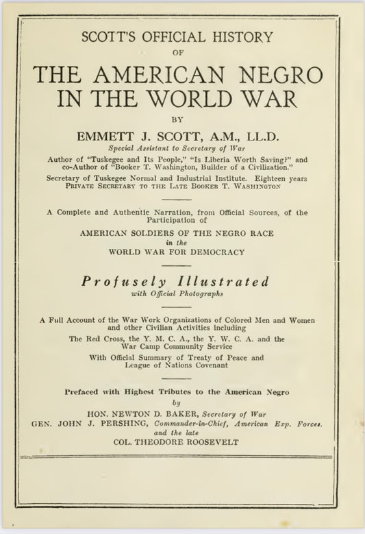 American Negro in the world war