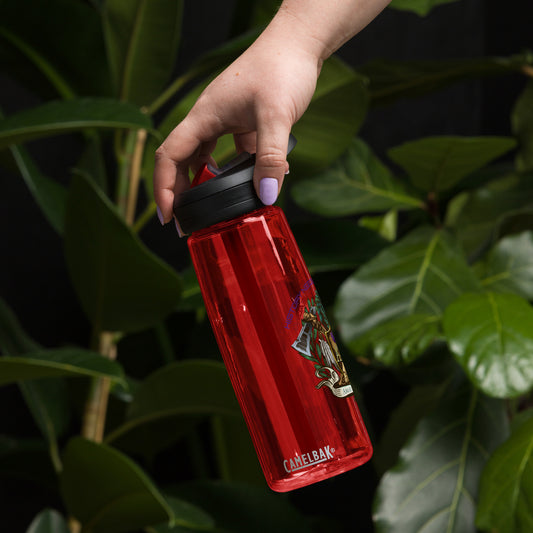 Sports water bottle